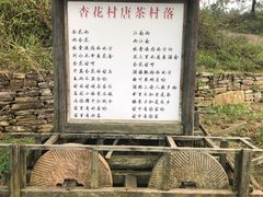 -杏花村文化旅游区