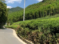 -将军关探险漂流