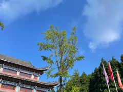 -武陵山森林公园