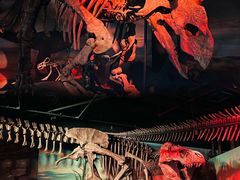 -正佳自然科学博物馆