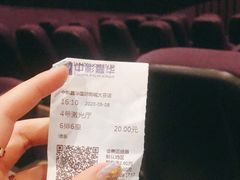 -中影嘉华国际影城(大芬星都里店)