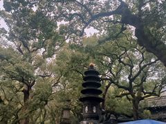 -普陀山风景名胜区-法雨禅寺