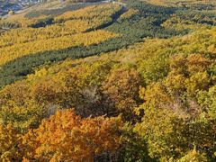 -帽儿山国家森林公园