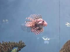 -北京海洋馆