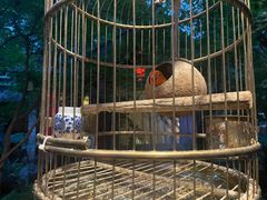 -哈哈曲艺社(西门闲亭店)