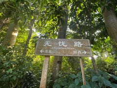 -深圳仙湖植物园