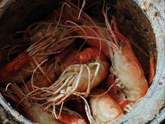 胡椒虾-百家班(市府店)