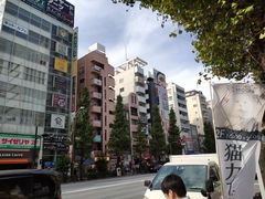 -秋叶原电器街