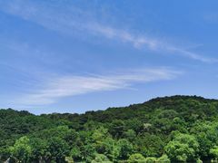 -鲁山国家森林公园