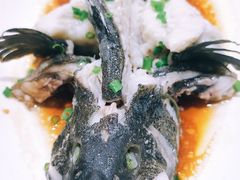 清蒸石斑鱼-金家港海鲜大排档(中山路店)