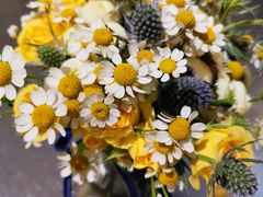 -植物学家的女儿(北马道巷店)