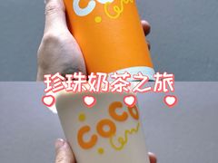 -CoCo都可(大润发中原店)
