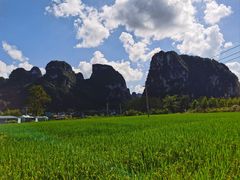 -明仕田园