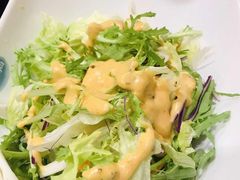 蔬菜色拉-韩时烤肉(枫蓝店)