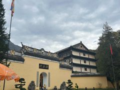 -天目山大树王景区