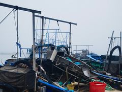 -坛南湾阿强农家乐.海鲜大排档老字号(福州地标美食店)
