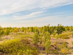 -银肯塔拉沙漠生态旅游景区