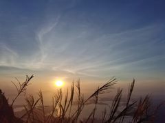 -梧桐山风景名胜区