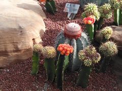 -南通洲际绿博园