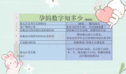 -巍阁高端月子会所