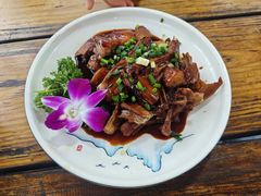 -小小饭店·休闲农庄·安吉松树林里的农家菜