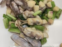 -新南华大酒店(广中店)