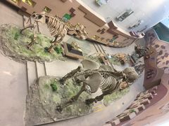 -陕西自然博物馆