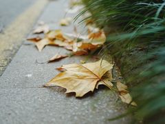 -Bamboo Today Cafe(国创园店)