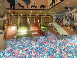 -卡通尼·Safari非洲探索乐园·生日会(金桥国际商业广场店)