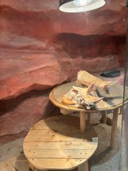 -Zoolung Zoolung动物主题公园(海信广场店)