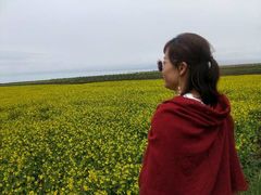 -塔尔寺游客服务中心
