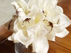 -VESH COFFEE(定西路店)