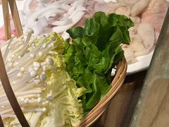 -同仁四季椰子鸡(海岸城天利店)