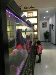 点击看大图 -可爱多国际儿童摄影会馆(龙泉店)
