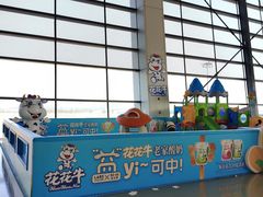-郑州新郑国际机场-T2航站楼