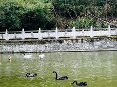 -黔灵山公园-南门售票处
