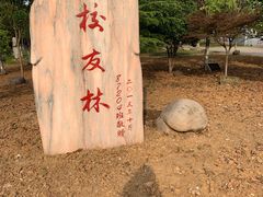 -南京信息职业技术学院