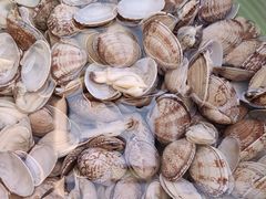 -大雁塔假日酒店·绿茵阁西餐厅