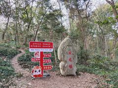 -上海佘山国家森林公园天马山园