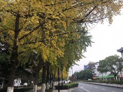 -奈雪的茶(新天地广场PRO店)