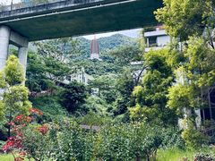 -深圳仙湖植物园