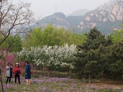 -北京凤凰岭