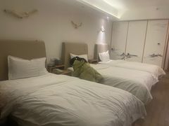 -西姆山居酒店(九寨沟沟口店)