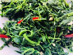 戈壁苜蓿-有家驴肉黄面(敦煌店)