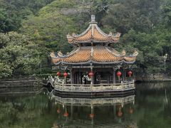 -潮镇老尾牛杂(环城西路店)