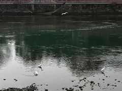 -望江楼公园