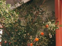 -八府香鸭·啫啫煲(华山路店)