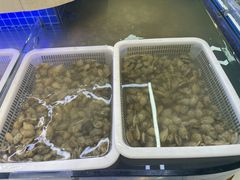 -大众海鲜(巨龙北路店)
