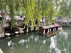 -百花洲