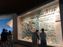 -贝林大翅鲸简餐厅(国家海洋博物馆店)